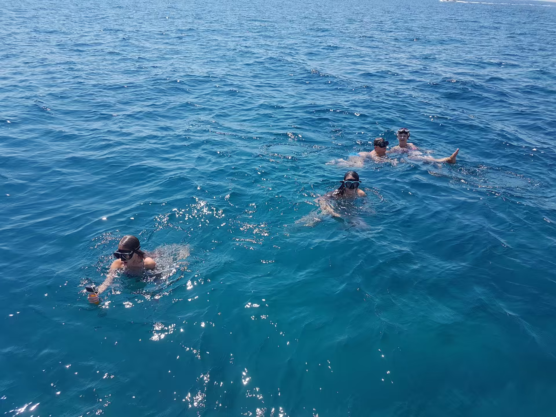 Swimming in turquoise coves