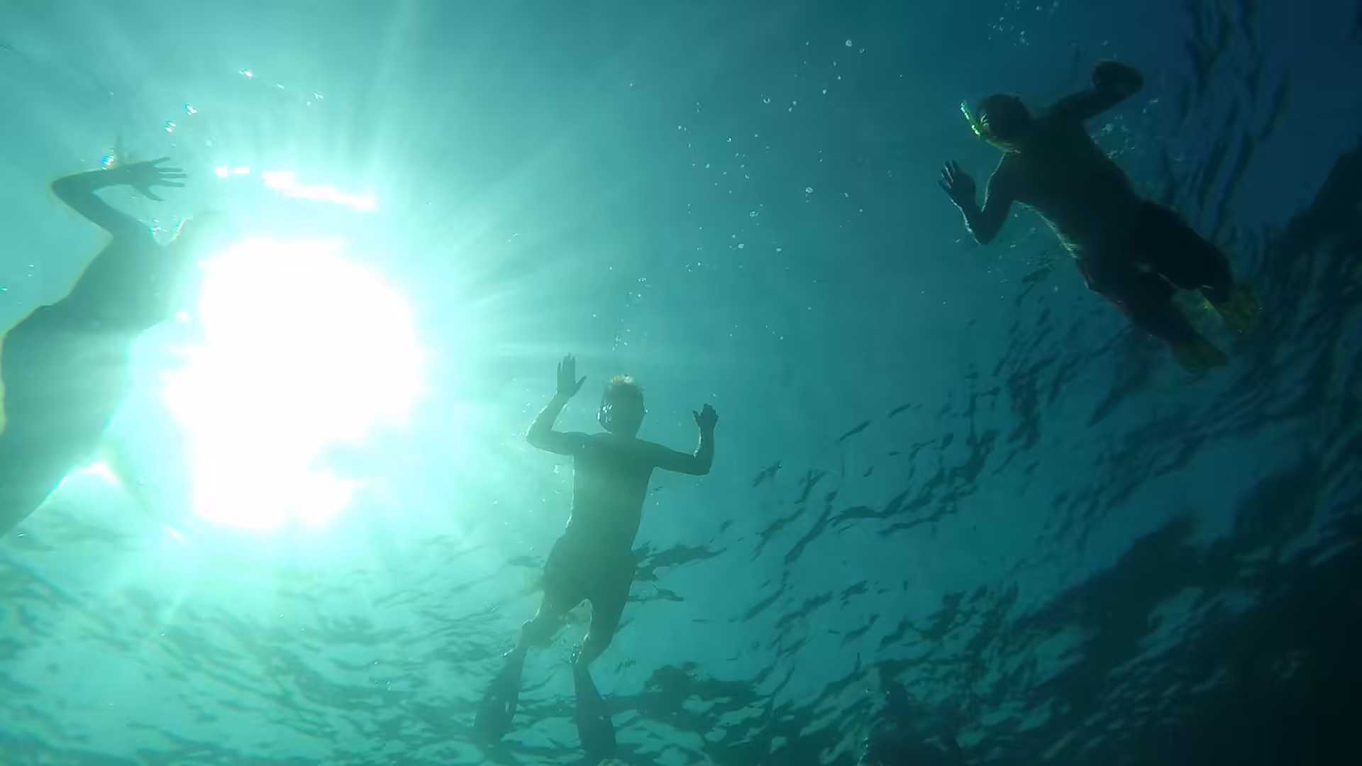 Snorkelers silhouetted by sunlight