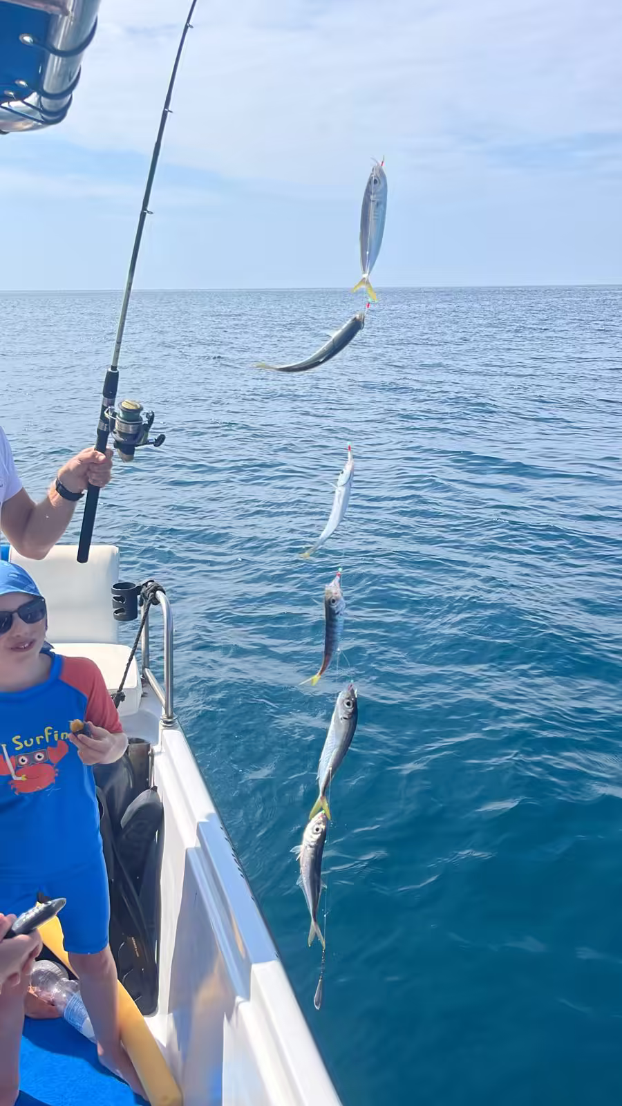 Fresh catch lifted from the Adriatic on rod