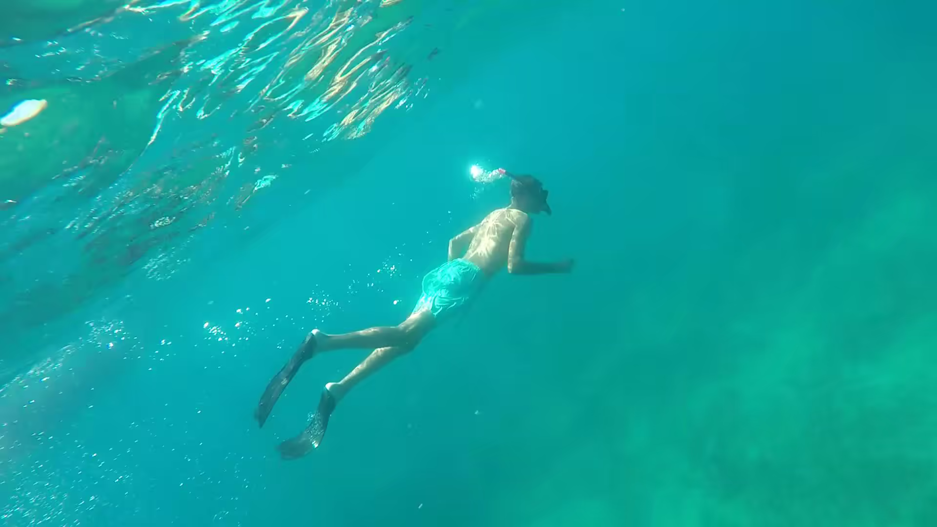 Snorkeler gliding near the surface