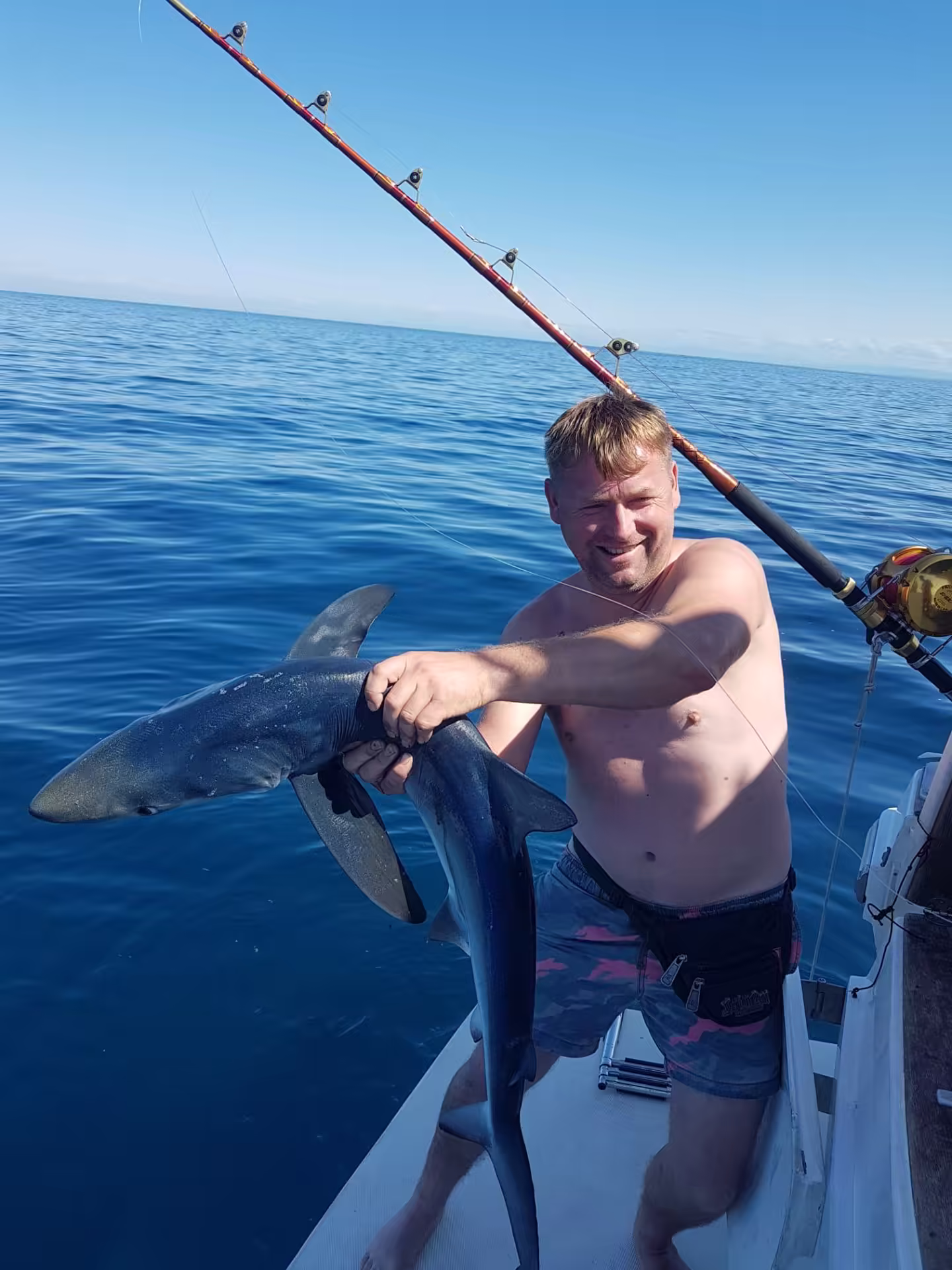 Angler holding a blue shark boatside